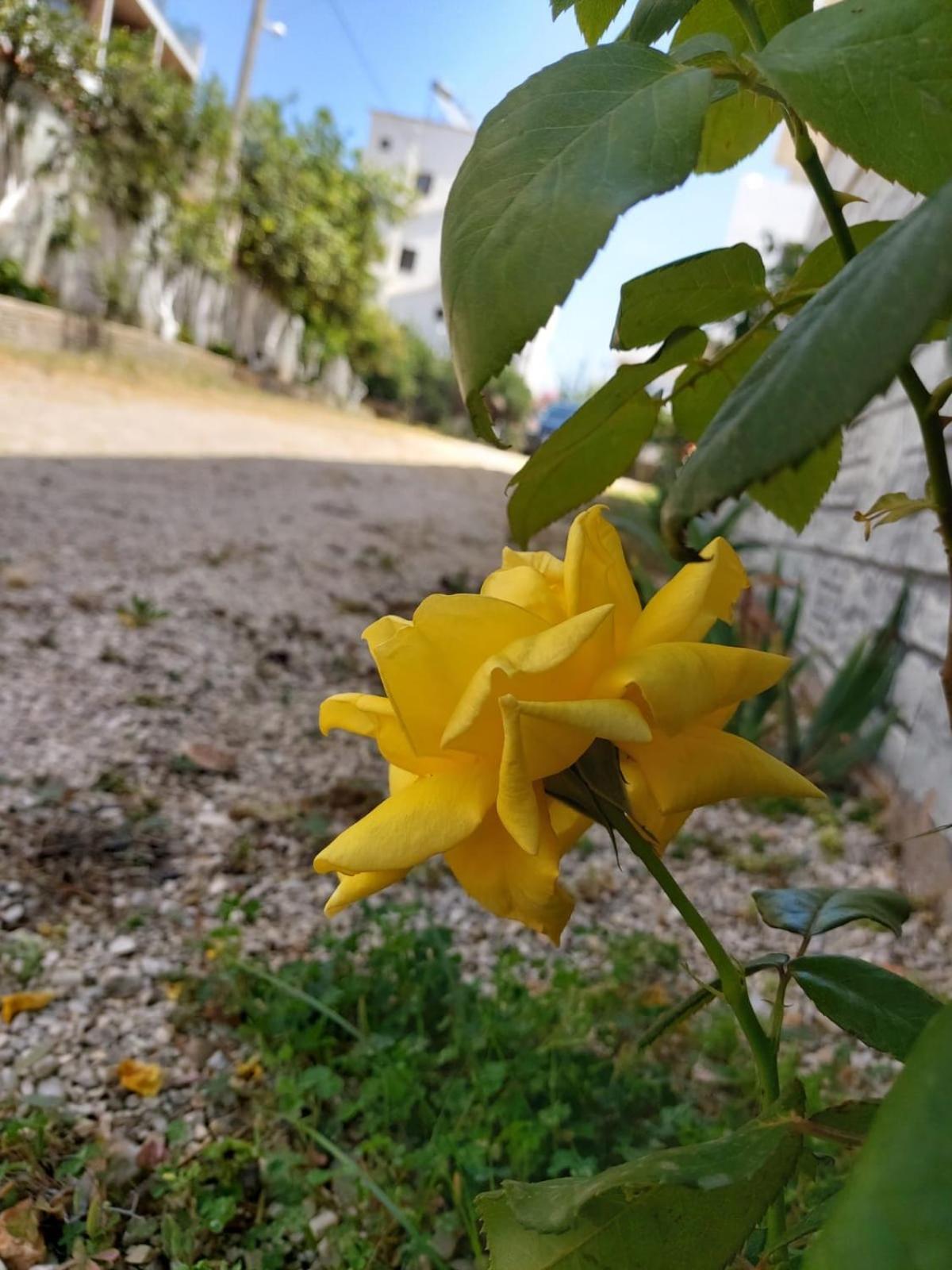 Vila Era Ksamil Buitenkant foto